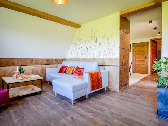 Atlas Chmur Apartament Bialy Dunajec Exterior photo